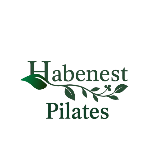 Habenest Pilates_transparent Habenest Pilates transparent ピラティスの求人・転職情報ならウェルキャリ|インストラクター募集多数