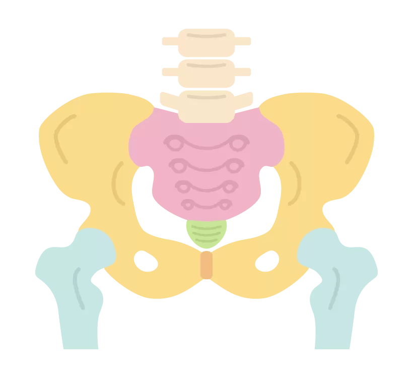 image 120 ピラティスで骨盤矯正｜指導歴10年以上のプロが勧めるエクササイズ3選！