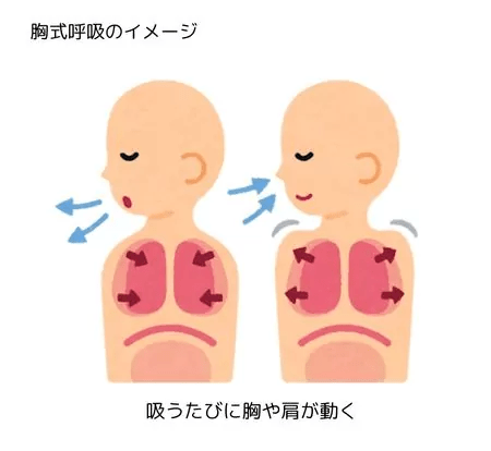 image 310 姿勢が整うピラティス呼吸！そのメカニズムと呼吸の実践方法をわかりやすく解説します